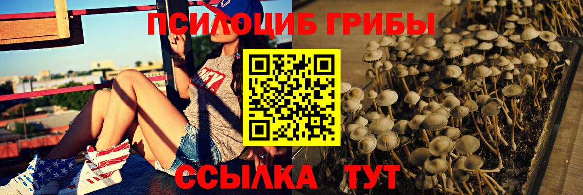Галлюциногенные грибы мухоморы Михайловск